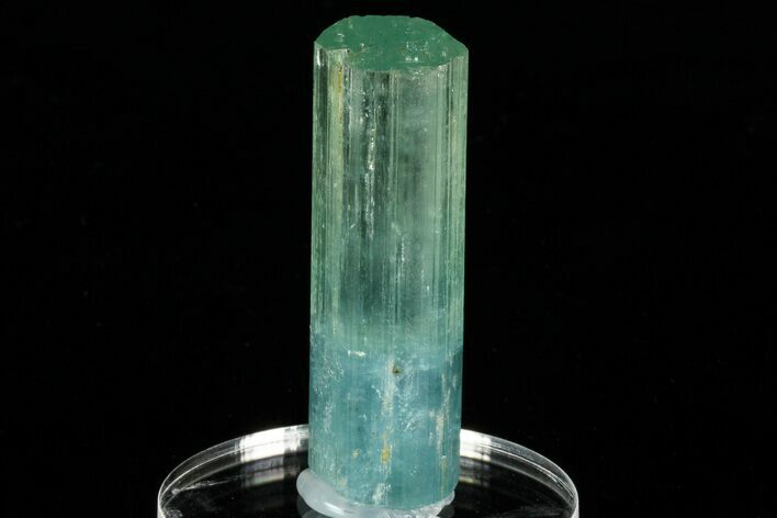 Bi-Colored Aquamarine Crystal - Transbaikalia, Russia #175645